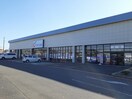 カワチ薬品石下店まで1030m グラースクローI