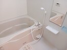  コモド　アデッソ
