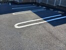  コモド　アデッソ