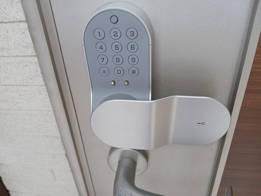  ソイビーンズ　ジョイ