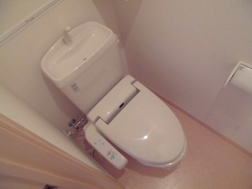  パルティーレ　II