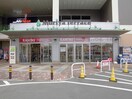 カスミ守谷テラス店まで1410m アルバーダ