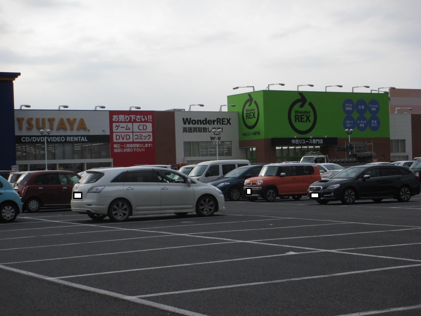 WonderREX （ﾜﾝﾀﾞｰﾚｯｸｽ） 守谷店(ショッピングセンター/アウトレットモール)まで666m ツリーベルヒルズ