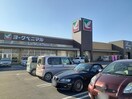 ヨークベニマル坂東店まで470m グラース　ミー