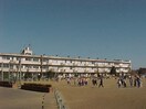 下妻市立上妻小学校(小学校)まで961m サニーコート