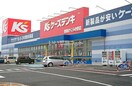 ケーズデンキ野田さくらの里店まで500m セレスタ