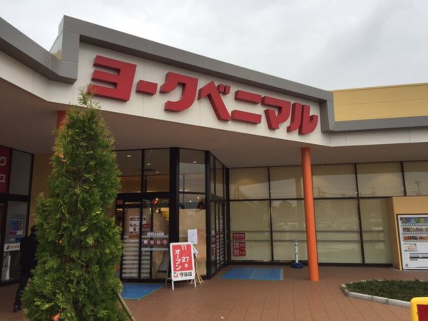 ﾖｰｸﾍﾞﾆﾏﾙ守谷店(スーパー)まで838m パラッシオ守谷