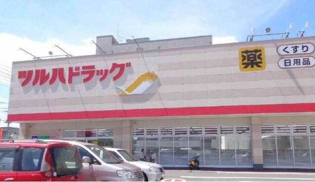 ﾂﾙﾊﾄﾞﾗｯｸﾞ 守谷駅前店(ドラッグストア)まで258m パラッシオ守谷