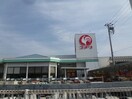 コメリ野田市なみき店まで450m アルカディアI