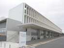 ｷｯｺｰﾏﾝ株式会社ｷｯｺｰﾏﾝ総合病院(病院)まで1287m サンスベリア