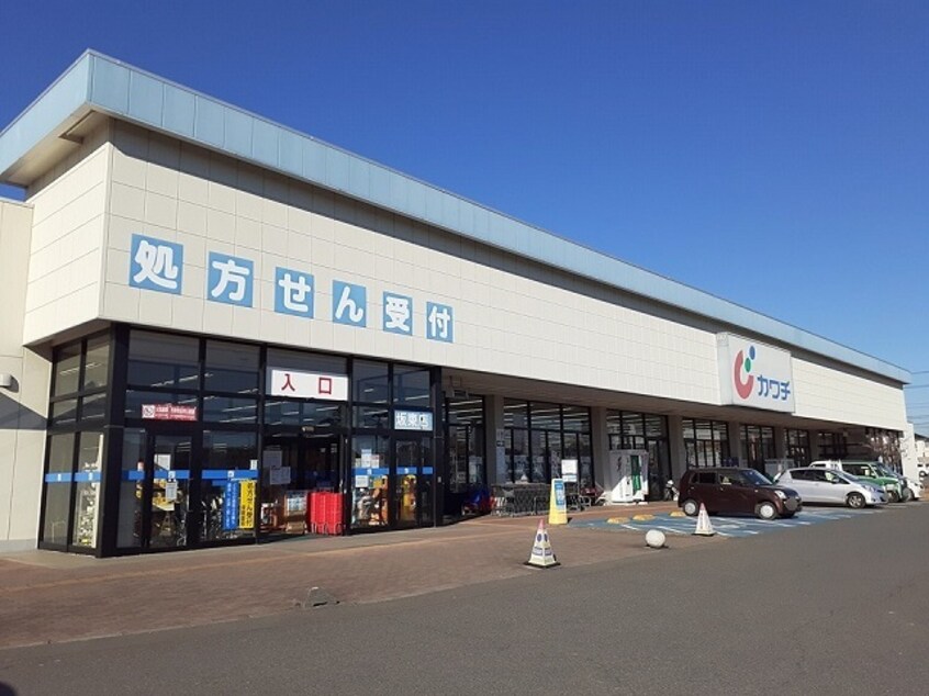 カワチ薬品坂東店まで310m ＡＫレジデンス