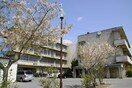 取手市立取手第一中学校(中学校/中等教育学校)まで2002m コーポ馬坂