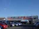 ｽｰﾊﾟｰ ﾀｲﾖｰ 竜ヶ崎店(スーパー)まで1253m ウッディパレス並木