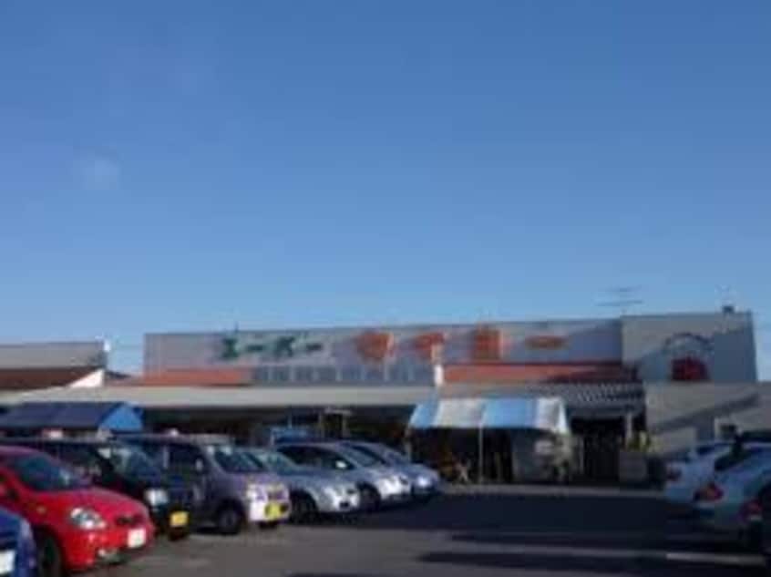 ｽｰﾊﾟｰ ﾀｲﾖｰ 竜ヶ崎店(スーパー)まで1253m ウッディパレス並木