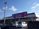 ﾎｰﾑｾﾝﾀｰｶﾝｾｷ 龍ヶ崎店(電気量販店/ホームセンター)まで1630m ウッディパレス並木