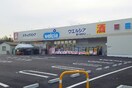 ｳｴﾙｼｱ龍ｹ崎緑町店(ドラッグストア)まで281m グリーンパレス