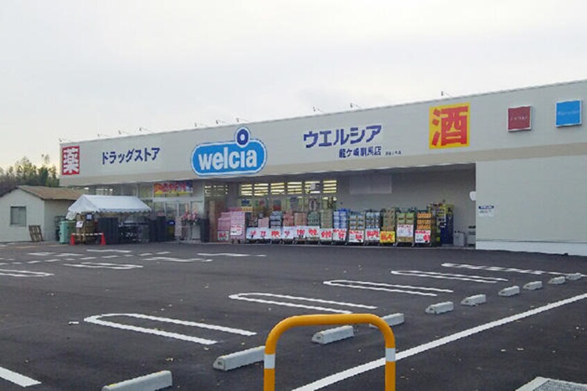 ｳｴﾙｼｱ龍ｹ崎緑町店(ドラッグストア)まで289m グリーンパレス