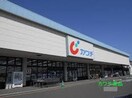 ｶﾜﾁ薬品 藤代店(ドラッグストア)まで1291m 常磐線/藤代駅 徒歩27分 2階 築31年