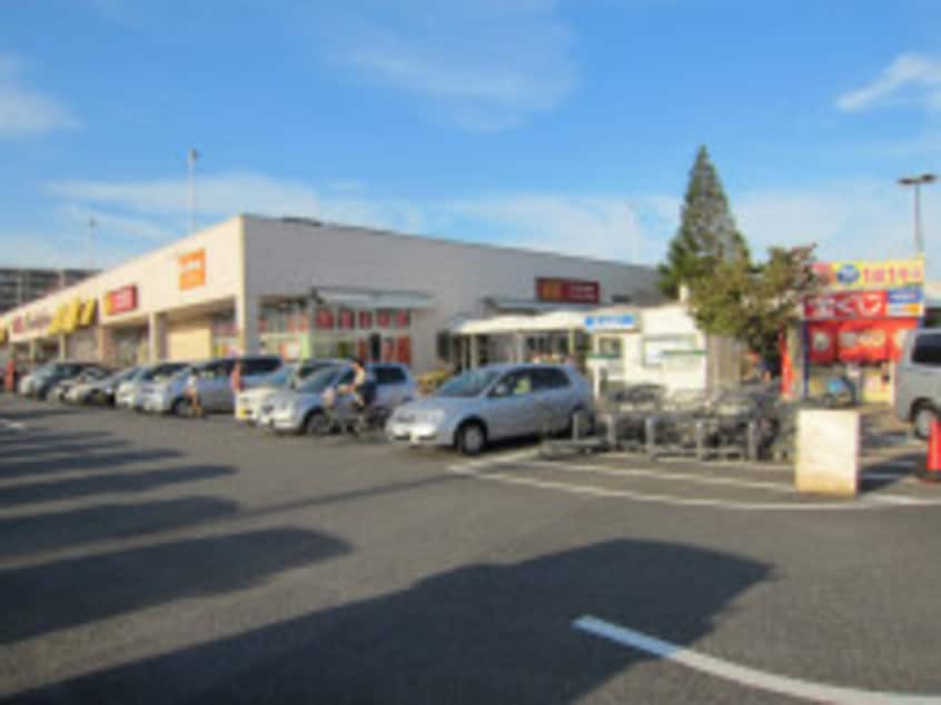 ﾔｵｺｰ 竜ヶ崎店(スーパー)まで1491m コーポラピュタ