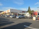 ﾔｵｺｰ 竜ヶ崎店(スーパー)まで590m 大津コーポ