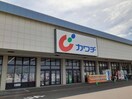 カワチ薬品藤代店まで210m アザレアＴ　I