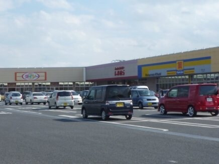 ザ・ダイソーヤオコー藤代町店まで1，200ｍ エンプレスVI