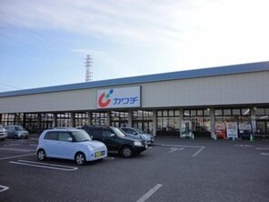 カワチ薬品藤代店まで599ｍ Costa　del　sol　II