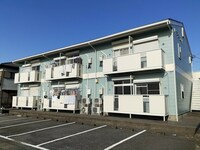 ハイライズカメリヤ