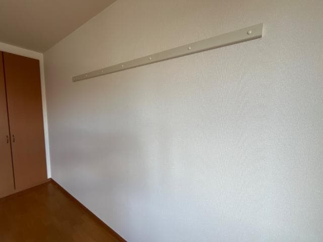 ハンガーフック フェニックス