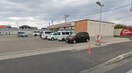 ｾﾌﾞﾝｲﾚﾌﾞﾝ 取手青柳店(コンビニ)まで797m メゾンクルス