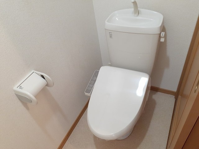  セレジェイラ