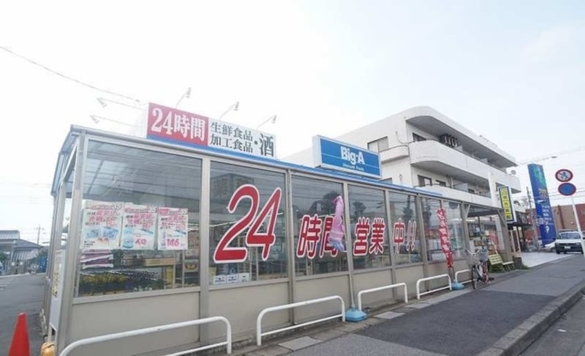 ビッグエーまで1100m ムーンリバーヒルズＡ
