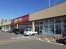 ヤオコー竜ヶ崎佐貫店まで990m ルーチェ・デル・ソーレ