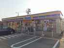 ミニストップ守谷中央店まで340m アベニールヒルズ