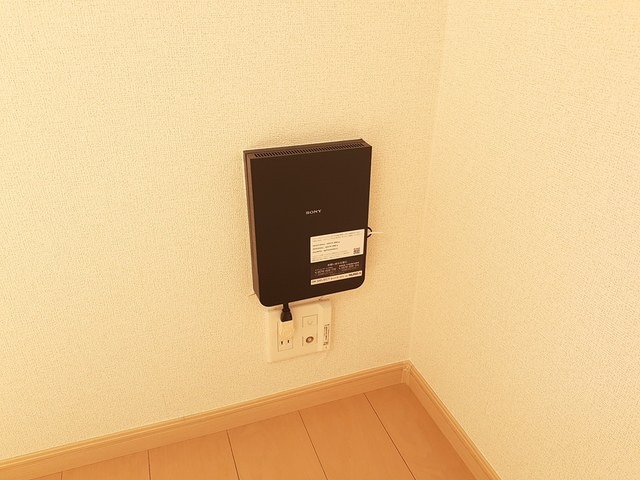 サニー・ヒルズ