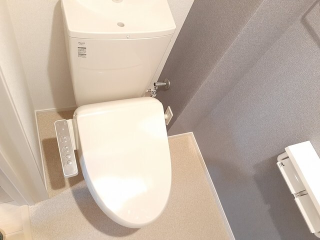 ハイム夢みの