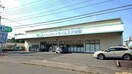 ドラッグセイムス取手戸頭店まで544ｍ 仮）取手市上高井379新築アパート