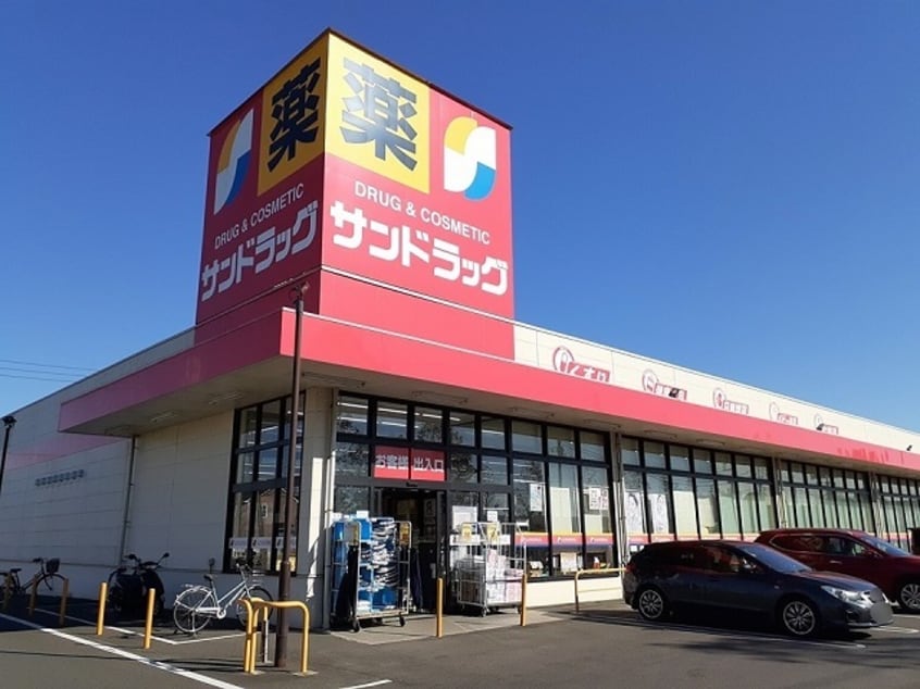 サンドラッグ龍ケ岡店まで400m サニーサイドヒル　Ｂ