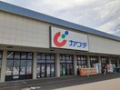 カワチ薬品藤代店まで1310m ノーブルアビタシオンＤ