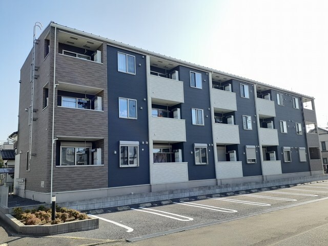  リブ　フラット