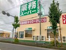 業務ｽｰﾊﾟｰ 守谷店(スーパー)まで331m クラロポルタ