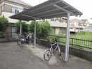  カトレヤ中峠