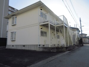 ビューラカモメ