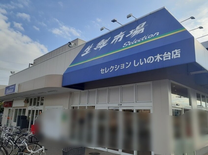 セレクションしいの木台店まで600m アーブル