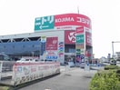 ニトリ・コジマ複合店まで1800m サニーフラワーヒルズ