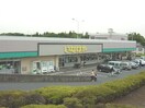 いなげや柏南増尾店まで832ｍ パル・クレシア