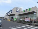 ケーヨーデイツー柏の葉公園店まで1400m プランドール，ユキ