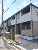 Ｋ．ｃｌｏｖｅｒの外観