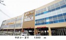 ヤオコーまで1300m ネオエステルナＡ