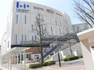 ららぽーと柏の葉まで750m エクロール正連寺Ｂ